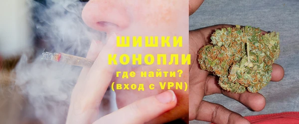 хмурый Мегион