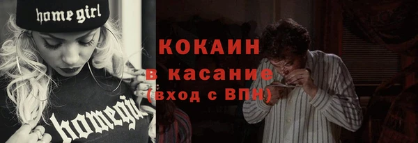 хмурый Мегион