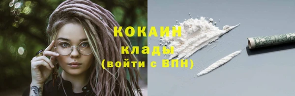 хмурый Мегион
