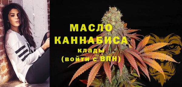 хмурый Мегион