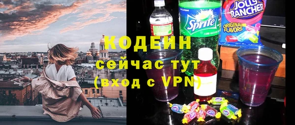 хмурый Мегион
