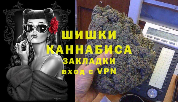 хмурый Мегион