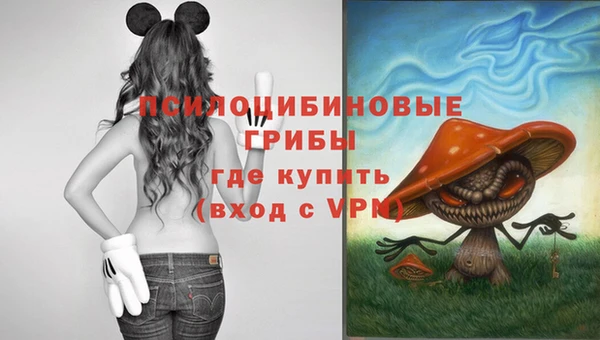 Альфа ПВП Медногорск