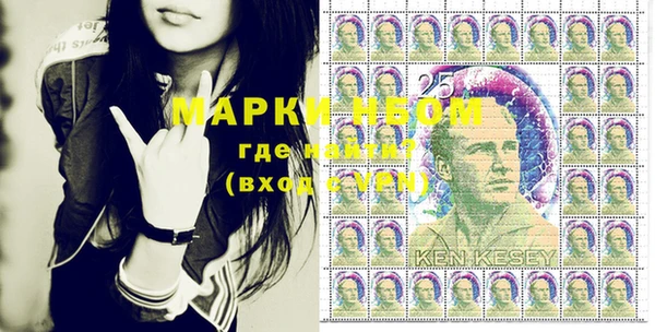 хмурый Мегион
