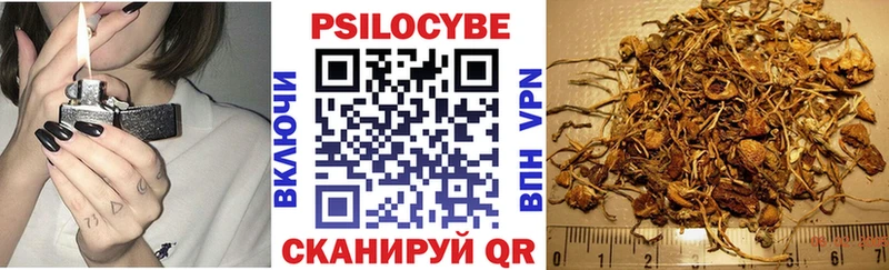 Галлюциногенные грибы Magic Shrooms  хочу   Мантурово 